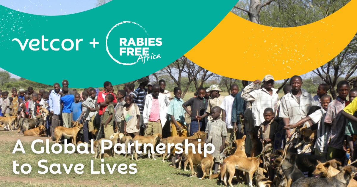 Rabies Free Africa Veterinary Global Health